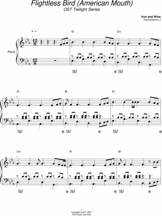 Product picture Flightless Bird - Iron and Wine